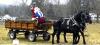 Santa riding on a horse drawn carriage